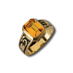 Anel De Curso Ouro 9k