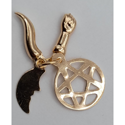 Medalha Ouro Amarelo 19k