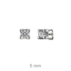 Brincos Prata Rodeada