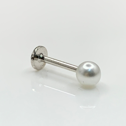 Piercing ''tragus'' Prata