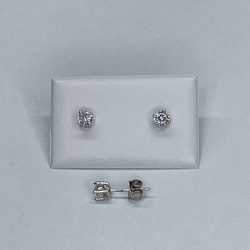 Brincos Prata Rodeada