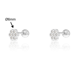 Brincos Prata Rodeada