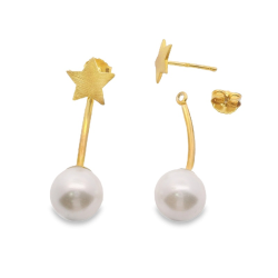 Brincos Prata Dourada E Rodeada